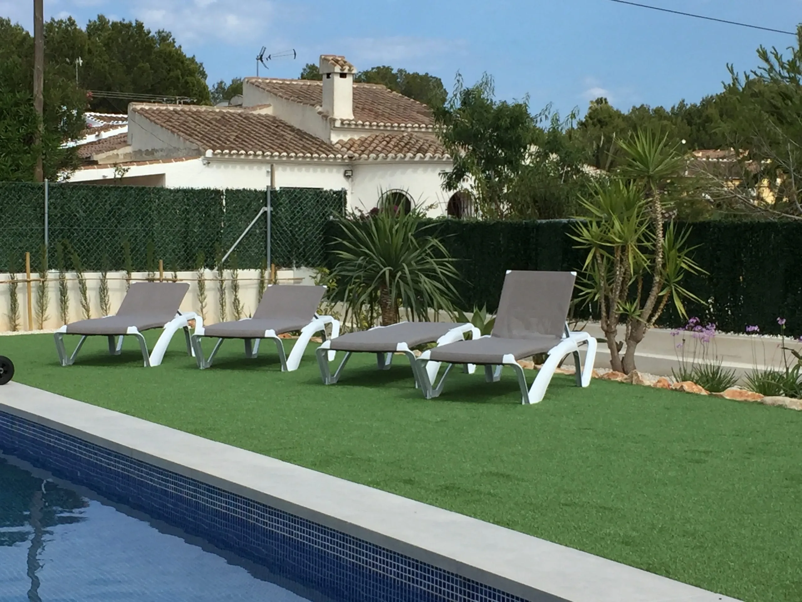 Sun loungers on the level lawn right beside the pool, with palms and the garden behind
